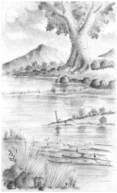 Pond Art Sketsa, Pond Drawing, Shading Drawing, Water Falls, Wow Art, Black Pencil, Pencil Art, Art Classes, Drawing Tutorial