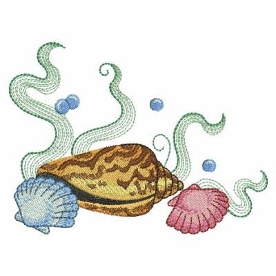 Seashells 5, 7 - 3 Sizes! Seashells Embroidery Designs, Coral Drawing, Shell Embroidery, Easy Doodle, Seashell Painting, Sea Shell Decor, Paper Quilling Designs, Quilling Designs, Free Machine Embroidery Designs