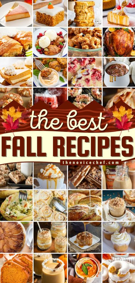 The Best Fall Recipes, fall food, fall drinks Fall Food Menu Ideas, Fall Flavor Recipes, Fall Crowd Food, Amazing Fall Dinner Recipes, New England Fall Recipes, Fall Breakfast Recipes For A Crowd, Easy Dishes To Bring To A Party Fall, Fall Food Potluck, Fall Festive Food