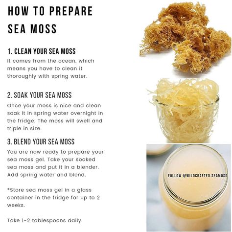 Make Sea Moss Gel, Seamoss Benefits, Key Limes, Sea Moss Gel, Super Foods, Alkaline Diet, Juicing For Health, Sea Moss, Holistic Nutrition