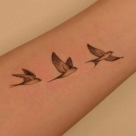 Little Bird Tattoos For Women, Three Little Birds Tattoo, Little Birds Tattoo, Women's Back Tattoos, Tattoo Birds, Rib Tattoos For Guys, Swallow Birds, Little Bird Tattoos, Bird Tattoos For Women