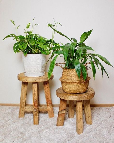 Small Round Kitchen Table, Plant Stool, Small Wooden Stool, Small Round Dining Table, Rustic Plant Stand, Mid Century Modern Plant Stand, Round Table Decor, Rustic Stools, Round Furniture