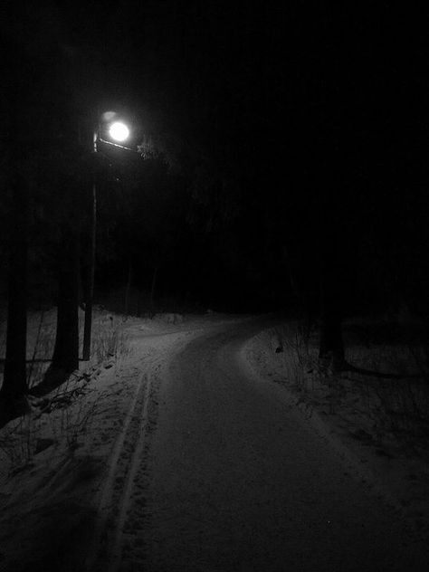 In The Woods At Night, The Woods At Night, Woods At Night, Dark Road, Darkness Falls, Photo D Art, Dark Places, Dark Photography, Dark Beauty