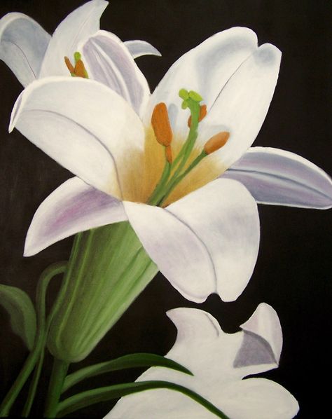 This is my original oil painting on 22 x 28-inch canvas,  of an Easter Lily, done on a black background. It will be shipped unframed in 3 to 5 days after ordering. Easter Canvas Painting, Easter Lily Flower, Easter Lilly, First Grade Art, Easter Canvas, Easter Paintings, Flower Oil Painting, Easter Lily, Oil Art