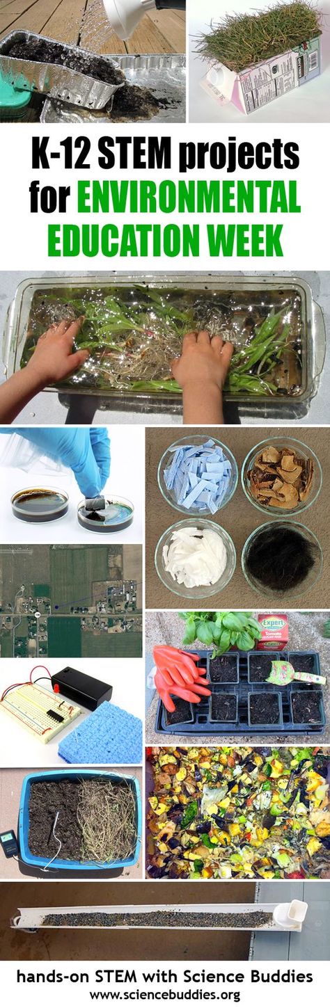 Check out these fun STEM projects that teach kids about the importance of conservation. Ecology Projects, Nature Education, Education Week, Diy Science, Environmental Education, Stem Challenges, Stem Projects, Science Fair Projects, Stem Science