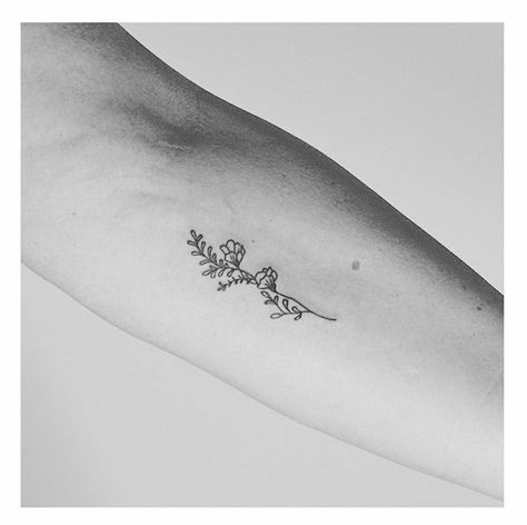 Gf Tattoo, Tattoos Poppy, Needle Phobia, August Birth Flower Tattoo, Month Flower Tattoo, August Flower Tattoo, Name Flower Tattoo, August Flower, Flower Hip Tattoos