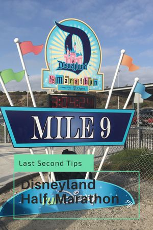 What You Need To Know. Last Minute Disneyland Half Marathon Tips. Disneyland Resort California, Disneyland Half Marathon, Half Marathon Tips, Run Disney Costumes, Marathon Tips, Running Costumes, Practically Perfect, Run Disney, Disney Tips