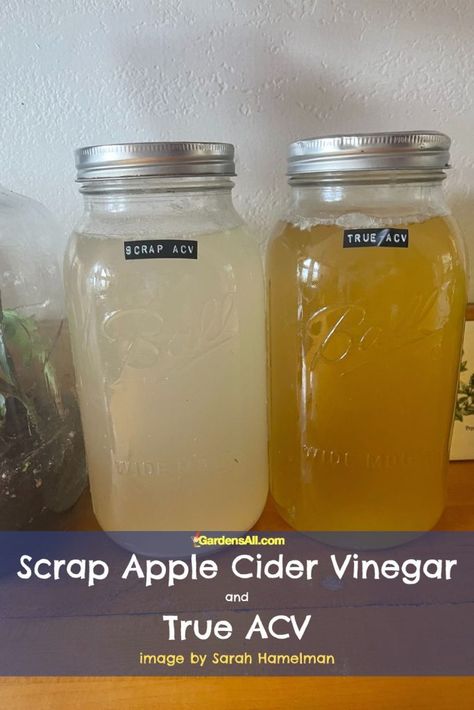 Apple Cider Vinegar Recipes How To Make, Apple Cider Vinegar How To Make, Apple Vinegar Recipes, Homemade Acv Recipe, How To Make White Vinegar, Home Made Apple Cider Vinegar Recipe, Diy Apple Cider Vinegar With The Mother, Making Apple Cider Vinegar, How To Make Apple Cider Vinegar Homemade