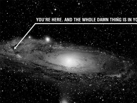 ^ YOU'RE HERE Stephen Hawking Books, Facts About Universe, Galaxy Poster, Spiral Galaxy, Andromeda Galaxy, Tilt Shift, Hubble Space, Space Photos, Milky Way Galaxy