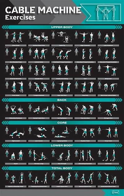 Amazon.com : Laminated Cable Exercise Poster, 20"x30" : Hang in Home or ... Bowflex Workout Routine, Cable Machine Exercises, Bowflex Workout, Machine Exercises, Cable Machine Workout, Gym Workouts Machines, Exercise Poster, Gym Posters, Posters Motivational