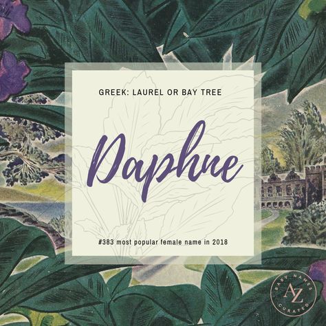 Daphne Aesthetic Greek, Daphne Name, Daphne Name Meaning, Daphne Flower Drawing, Daphne Mythology, Delphine Name Meaning, Nature Names, L Names, Laurel Tree