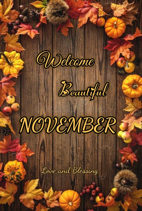 Happy First Day Of November, November Blessings, New Month Wishes, Weekly Quotes, Welcome November, November Quotes, Daily Greetings, Happy November, Autumn Cards