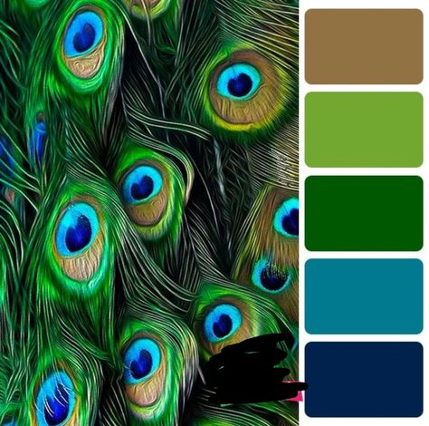 Peacock Color Scheme, Yarn Color Combinations, Christmas Color Palette, Create Color Palette, Color Palette Challenge, Color Schemes Colour Palettes, Paint Color Schemes, Fall Color Palette, Color Palette Design