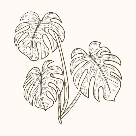 Monstera Drawn, Monstera Plant Sketch, Cheese Plant Tattoo, Philodendron Tattoo, Monstera Leaf Outline, Monstera Leaf Drawing, Monstera Clipart, Plant Scrapbook, Amy Tattoo