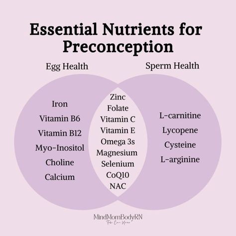 We advocate for a WHOLE BODY & WELLNESS approach when it comes to preconception health, looking at both Egg and Sperm health. Looking to get pregnant? Our signature "Foundations of Fertility" program will take you through 6-weeks of diet, exercise, mindset, and environment preparations to ensure you are giving your body what it needs for a healthy pregnancy. DM us for more on this program or book a free call with one of our coaches through our bio. Improve Egg Quality Fertility, Increase Fertility Trying To Conceive, Tips For Conceiving, Pregnancy Herbs, Tips For Getting Pregnant, Preconception Health, Fertilization Process, Preconception Planning, Pregnancy Planning