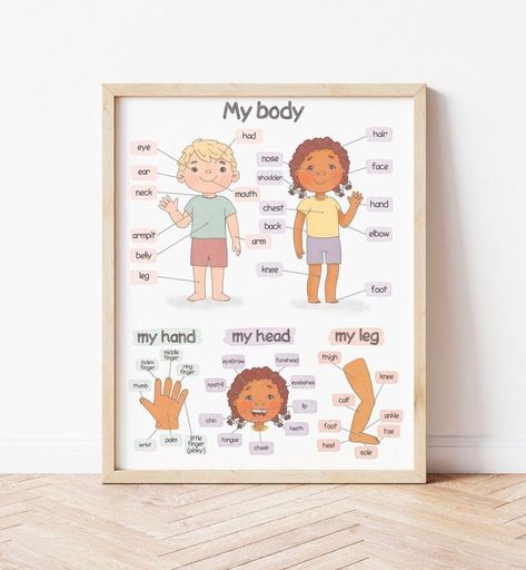 Body Parts Poster Montessori Homeschool Educational Posters - Etsy Educational Posters For Toddlers, Anatomy Poster, Montessori Homeschool, Educational Poster, Montessori Classroom, Homeschool Learning, Preschool Printables, Learning Science, Montessori Toddler