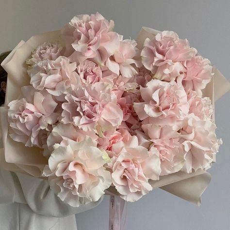 Carnation Bouquet Aesthetic, Pink Bouquet Aesthetic, Carnation Flower Bouquet, Carnations Flower, Bouquet Aesthetic, Boquette Flowers, Pink Carnations, Pink Aura, Nothing But Flowers