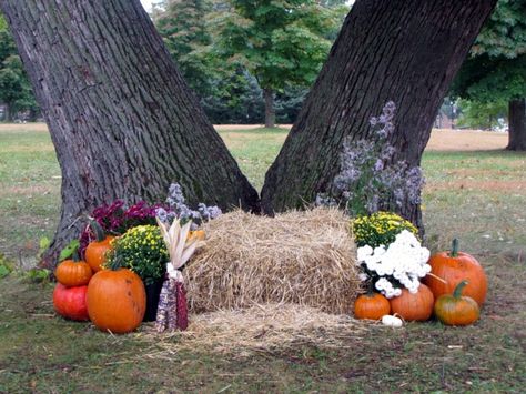 Harvest festival and michaelmas shooting stars Fall Mini Shoot, Fall Photo Booth, Fall Baby Photos, Fall Photoshoot Family, Fall Photo Props, Fall Baby Pictures, Fall Harvest Party, Fall Backdrops, Fall Shoot