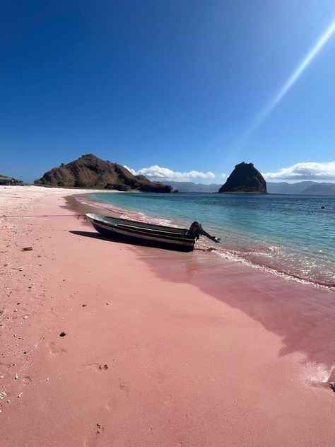 The best thing to do when you arr in Indonesia is a 4D3N trip from Lombok to Flores to visit the komodo Islands Lombok Island, Core Memory, Komodo Island, Dream Trips, Tropical Beaches, Pink Beach, Komodo, South Asia, Lombok