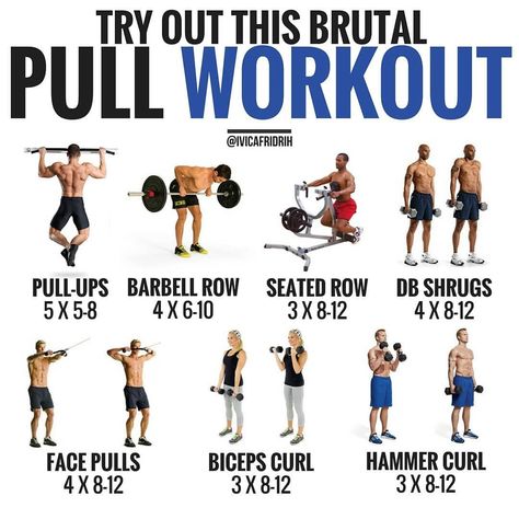 Pull Exercises, Push Pull Legs Workout, Push Pull Workout, Pull Workout, Pull Day Workout, Pull Day, Workouts For Men, Push Workout, Gym Antrenmanları