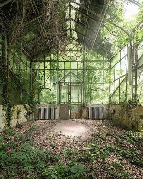 Abandoned Glasshouse Background Reference Photo Nature, Jaclyn Core, Baylee Core, Abandoned Library, Abandoned Mansion, French Castles, Victorian Mansions, Abandoned House, European Antiques