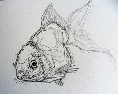 Here are some quick studies of fish for this week, I thought the continuous-line drawing would be a little more challenging on fish as there aren't so many ... Stylo Art, Contour Line Drawing, Scribble Art, Contour Drawing, Contour Line, Continuous Line Drawing, Fish Drawings, Drawing Faces, Arte Inspo