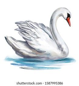 White Swan Bird On Pond Art Stock Illustration 1587995386 Wedding Art Illustration, Together Symbol, Pond Drawing, Swan Drawing, Pond Art, Swan Pictures, Bird Painting Acrylic, Swan Bird, Swan Painting