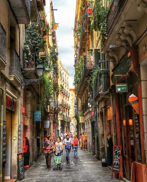 La Rambla, Barcelona Earth City, Travel Savings, Camp Nou, Pictures Of People, Spain And Portugal, Travel Life, Tag Someone, Nature Travel, Fc Barcelona