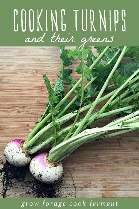 Turnips are a root vegetable that has gotten a bad rap, but they are actually super tasty! Learn how to cook incredibly delicious turnips and turnip greens with these easy recipes! #turnips #realfood #sidedishes Cooking Turnips, How To Cook Turnips, Winter Root Vegetables, Roasted Turnips, Easy Winter Recipes, Turnip Recipes, Healthy Winter Meals, Fantasy Food, Cooking Stuff