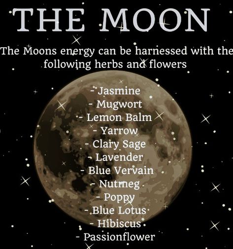 Moon Magick, Blue Lotus, Clary Sage, Lavender Blue, Moon Phases, Full Moon, The Moon, Spirituality, Herbs