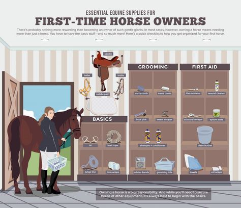 Are you thinking of buying your first horse? Before you do that, you must first understand what are the essential supplies and equipment you will need to properly take care of a horse. First Horse, Horse Ownership, Buy A Horse, Horse Information, Horse Care Tips, Horse Facts, Horse Riding Tips, Horse Camp, Horse Dressage