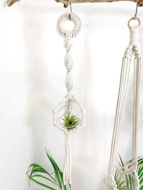 Glass Bowl Air Plant Hanger – Pattern 1 – Crafted by Ceri Macrame Air Plant Hanger, Diy Macrame Plant Hanger Tutorials, Plant Hanger Pattern, Air Plant Hanger, Macrame Plant Hanger Tutorial, Macrame Plant Hanger Patterns, Support Pour Plante, Makramee Diy, Mini Terrarium