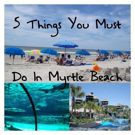 Myrtle Beach Family Vacation, Myrtle Beach Things To Do, Beach Life Hacks, Myrtle Beach Trip, Myrtle Beach Restaurants, South Carolina Vacation, South Carolina Travel, Myrtle Beach Vacation, Surfside Beach