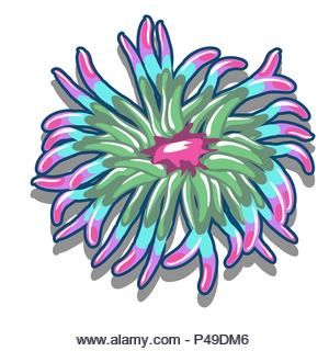 Sea Anemone Illustration, Sea Anemone Tattoo, Sea Anemone Drawing, Anemone Illustration, Backyard Mural, Anemone Tattoo, Nautical Embroidery, Fish Under The Sea, Sea Life Animals