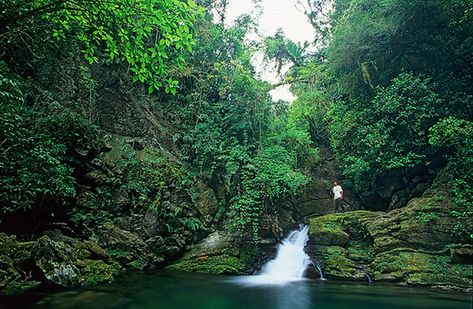 Sofia, Paradise, Mural, Forest, Stone, Water, Nature