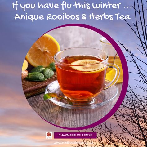 If you're full of flu consider ordering some healthy Annique Rooibos &  Herbs tea  - we have ginger tea, mint tea, jasmin tea and olive leaf tea - all great to help you relax, detox and boost your immunity.   www.rooibosalways.co.za  #charmainewillemse #anniqueconsultant #anniquerooibos #rooibostea #rooibosalways #anniquehealthandbeauty #healthandwellness #tea #herbalteas #fluboosters #flusupport Annique Rooibos, Olive Leaf Tea, Herbs Tea, Rooibos Tea, Herb Tea, Mint Tea, Ginger Tea, Most Satisfying, Olive Leaf