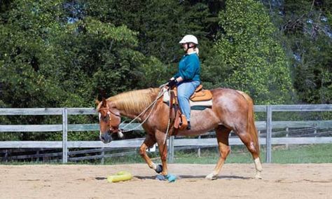 You're not doomed to an hour of monotony just because you're riding in an arena. Our ideas will add sparkle to your workouts in a confined setting. Riding Exercises, Horse Back Riding, Horse Arena, Horse Exercises, Equestrian Helmets, Training Ideas, Horse Ideas, Equestrian Helmet, Horse Training Tips