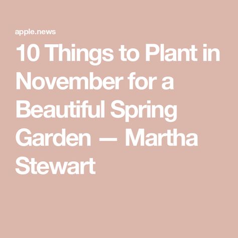 10 Things to Plant in November for a Beautiful Spring Garden — Martha Stewart What To Plant In November, Pack Up, Different Plants, Gardening Tools, Spring Garden, In November, Fall Fun, Martha Stewart, Planting