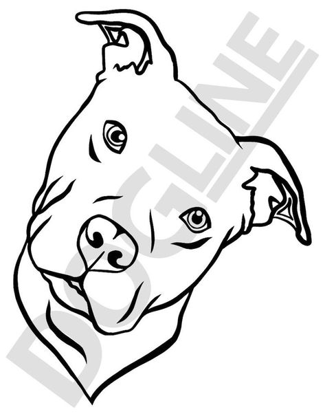 Drawing Pitbull, Pit Bull Drawing, Pitbull Drawing, Animal Stencils, Pitbull Tattoo, Pitbull Art, Outline Tattoo, Sick Tattoo, Lime Yellow