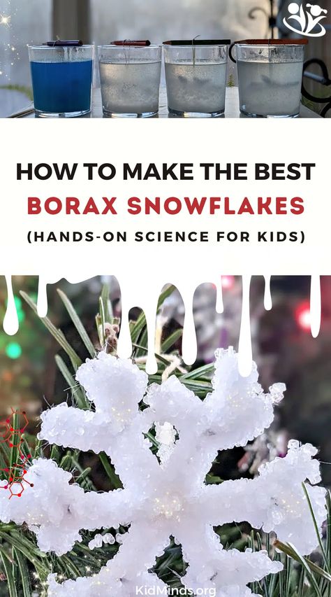 How to Make Crystal Snowflakes from Borax - KidMinds Borax Crystal Book, Borax Crystals Diy, Borax Snowflakes, Prek Science, Steam Classroom, Winter Lesson Plan, Winter Science Experiments, Borax Crystals, Nature Camp