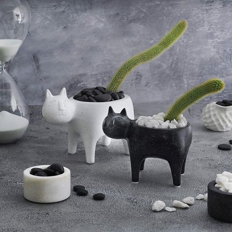 Product Of The Week: Cute Cat Planters Cat Pot, Pink Pot, Cat Planter, Clay Cat, Hanging Succulents, Cerámica Ideas, Cute Sloth, House Plants Decor, Diy Crafts For Home Decor