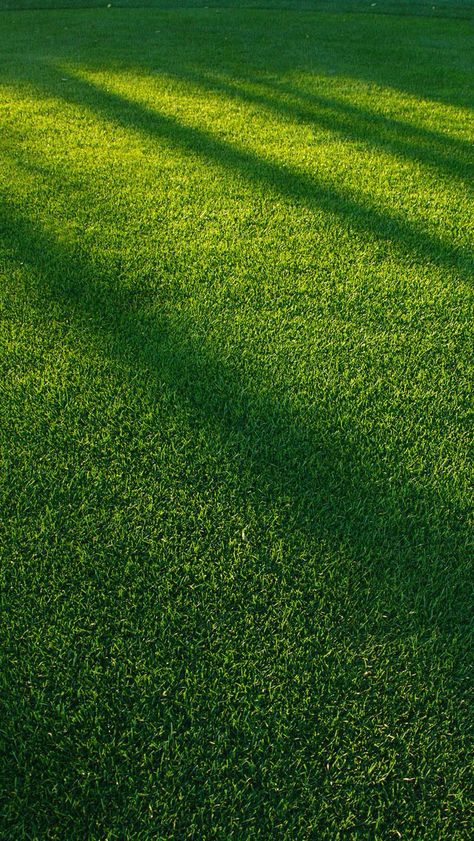 Grass Grass Wallpaper, Amoled Wallpapers, Fotografi Iphone, Minimal Wallpaper, Image Nature, Tapeta Pro Iphone, Green Nature, Green Pattern, Alam Semula Jadi