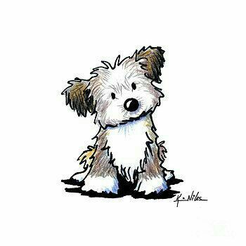 Tatoo Dog, Havanese Puppy, Bichon Havanais, Funny Puppies, Puppy Drawing, Havanese Puppies, Puppy Art, Havanese Dogs, 강아지 그림