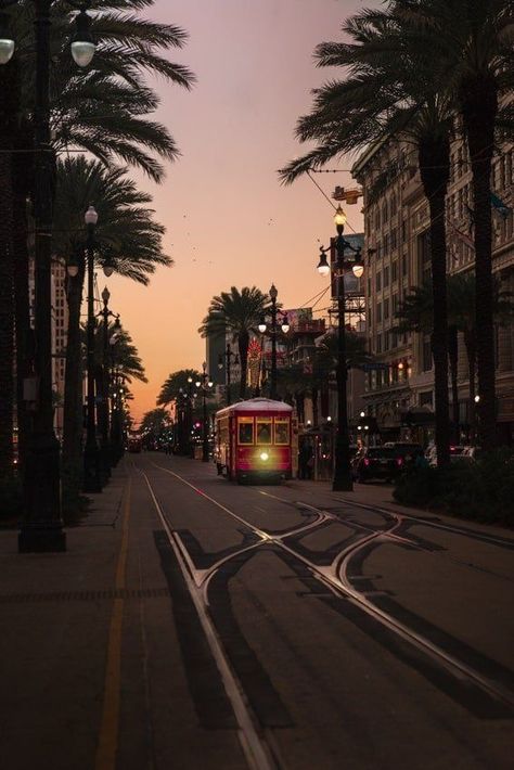 New Orleans Culture, New Orleans At Night, Nova Orleans Aesthetic, Vintage New Orleans Aesthetic, New Orleans Aesthetic, Photography Cityscapes, Travel Aesthetic Beach, New Orleans Photography, Travel Wallpapers