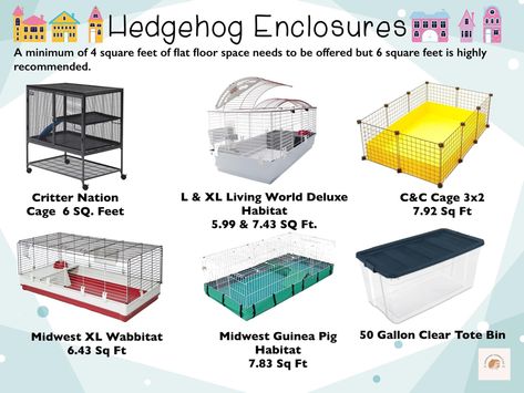 Hedgehog Cage Ideas, Hedgehog Care, Hedgehog Cage, C&c Cage, Hedgehog House, Pet Rat, Hedgehog Pet, A Hedgehog, Pet Rats