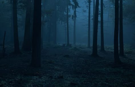 Dark Forest Reference, Gacha Background Outside Dark, Dark Forest Horizontal, Spooky Forest Background, Forest Background Gacha, Forest Night Background, Dark Background Landscape, Creepy Forest Background, Night Forest Background