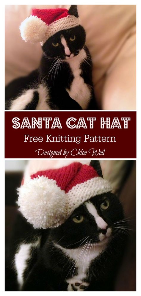 Cat Hats Knitted, Cat Christmas Hat, Christmas Dog Hat, Cat Hat Pattern, Hat Free Knitting Pattern, Cat Santa Hat, Santa Hat Pattern, Knitting Patterns Free Dog, Crochet Santa Hat