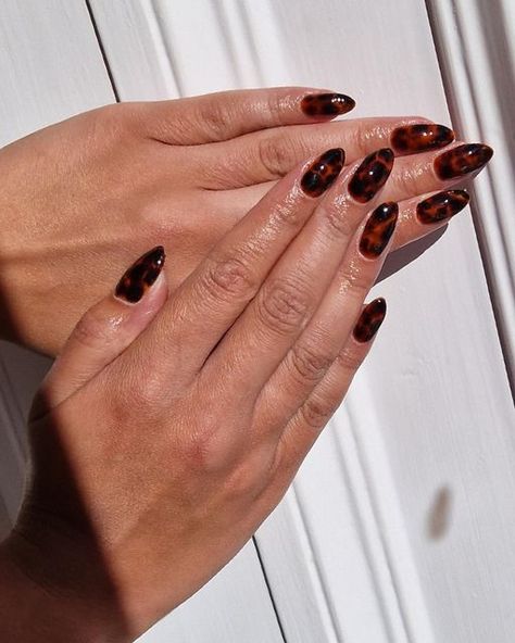 Black Amber Nails, Autumn Blooming Gel Nails, Bloom Nail Art, Fall Blooming Gel Nails, Nail Art Blooming Gel, Blooming Gel Nail Art Ideas, Nails Blooming Gel, Blooming Nail Art, Amber Nail