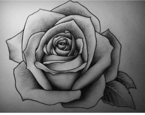 Flower Sketch Pencil, Rose Outline, Rose Drawing Tattoo, Rose Sketch, Kunst Tattoos, Tattoo Rose, Realistic Rose, Geniale Tattoos, Trendy Tattoo