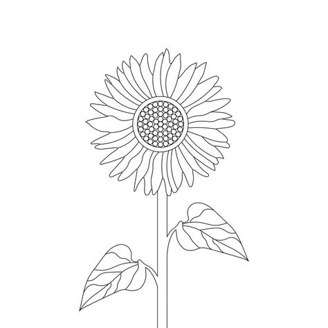 Sunflower Coloring Page, Page Of Book, Sunflower Coloring, Sunflower Coloring Pages, Flower Sketch, Embroidery Template, Coord Set, Flower Sketches, Flower Stencil